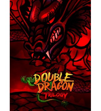 Double Dragon Trilogy GOG.com Key GLOBAL